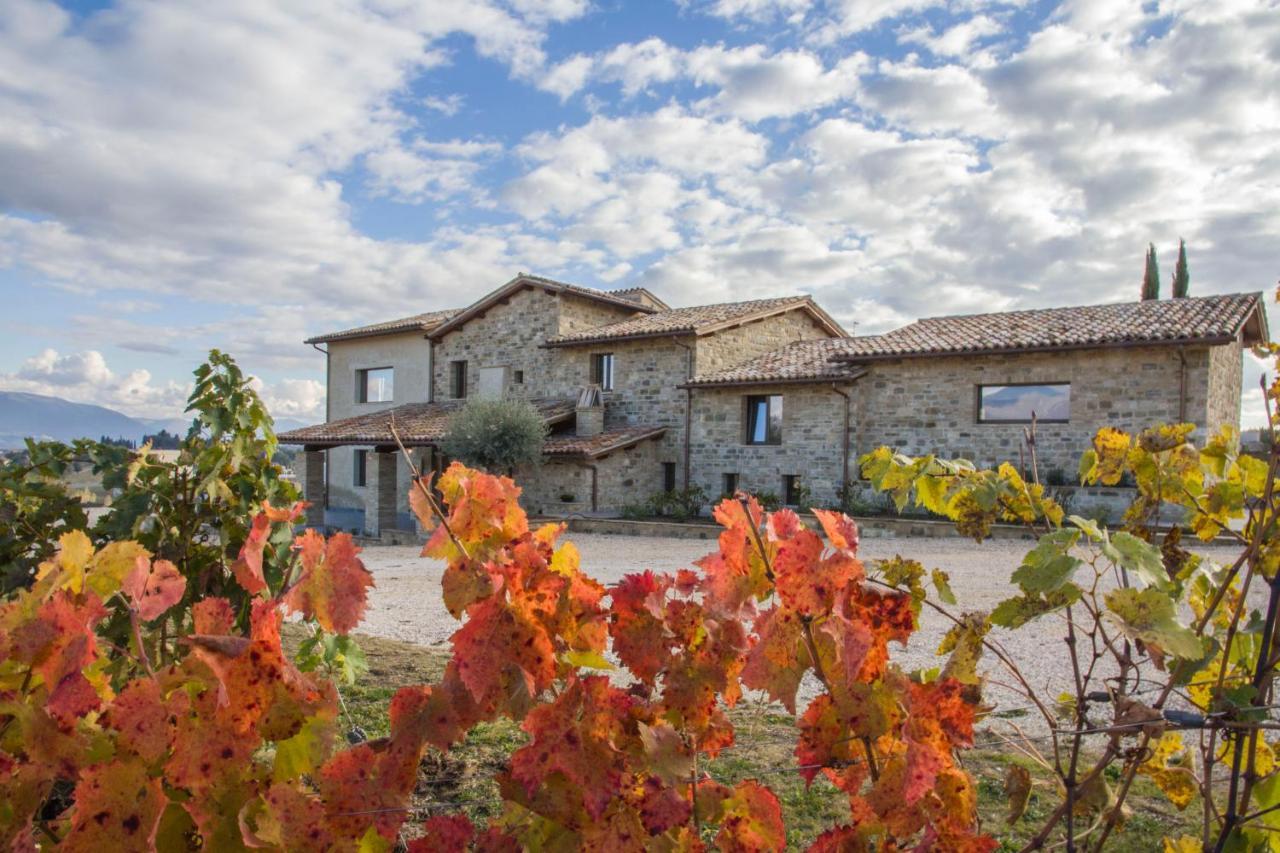 Fattoria Colsanto Villa Torre del Colle Eksteriør bilde